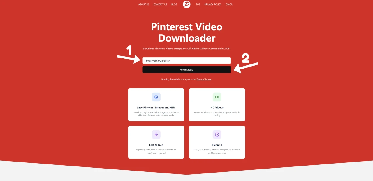 Pasting the copied Pinterest link into the PintDownloader input field